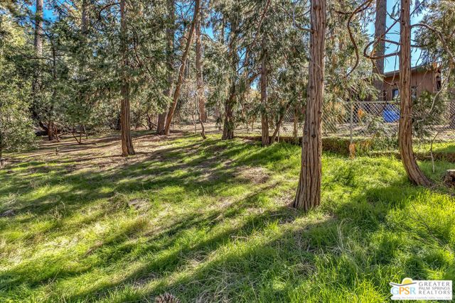 54285 Tahquitz View Drive, Idyllwild, CA 92549