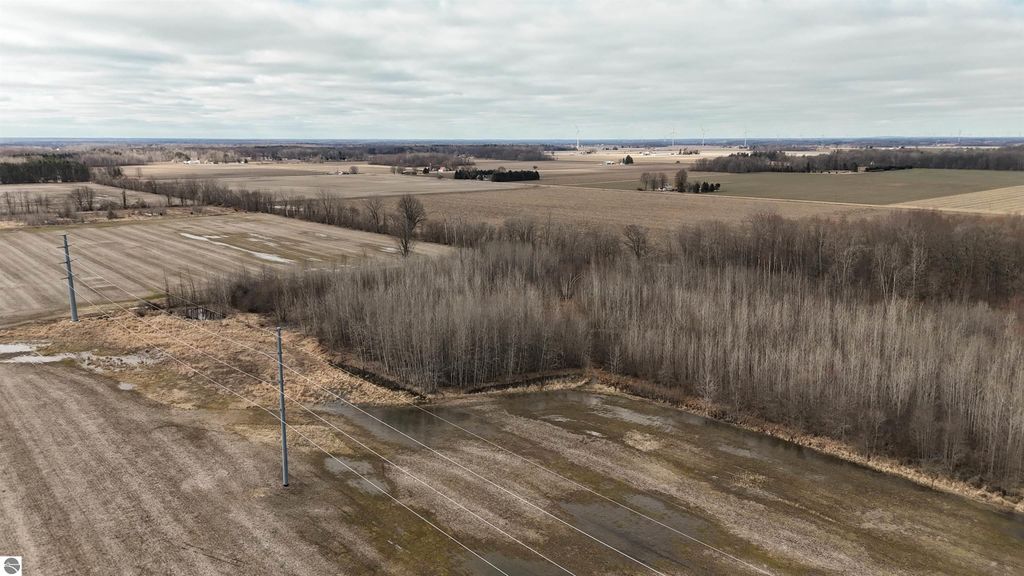 Image 7 of property listing at TBD Dickenson Road, Coleman, MI 48618