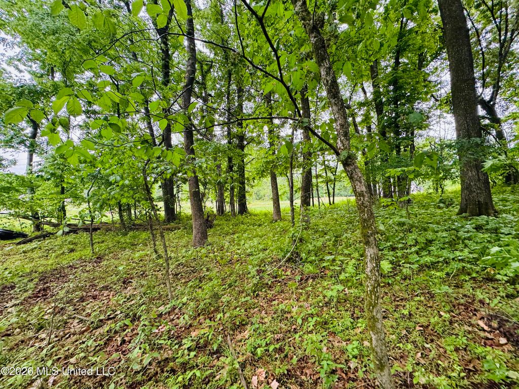 Kimber Cove, Hernando, MS 38632 — exterior