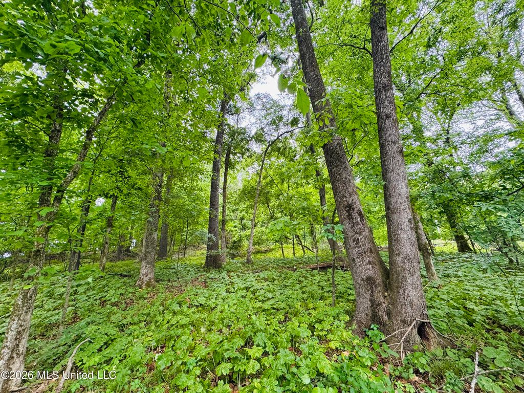 Kimber Cove, Hernando, MS 38632 — photo 2