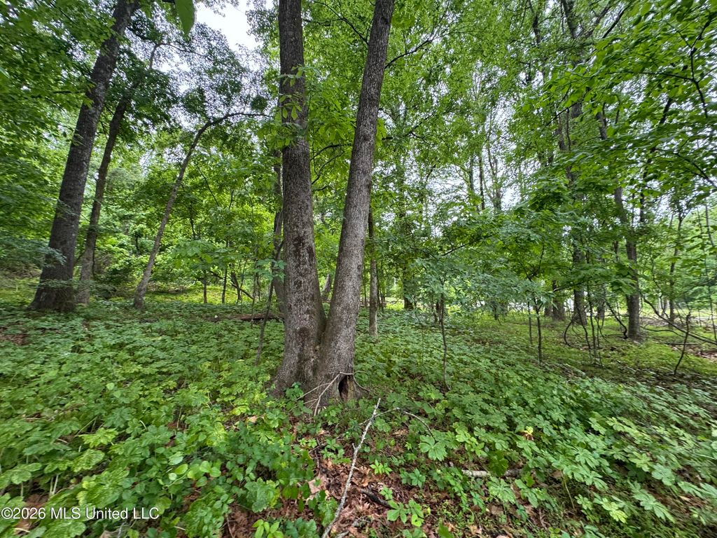 Kimber Cove, Hernando, MS 38632 — photo 3