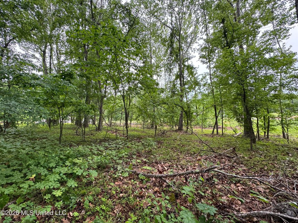 Kimber Cove, Hernando, MS 38632 — photo 4