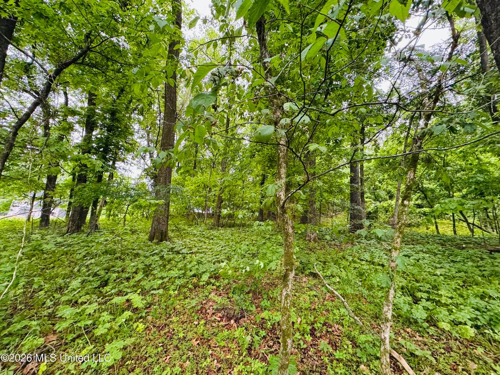 Kimber Cove, Hernando, MS 38632 — photo 5
