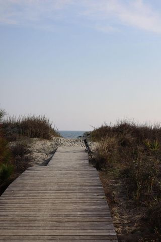 1206 Segar Street, Johns Island, SC 29455