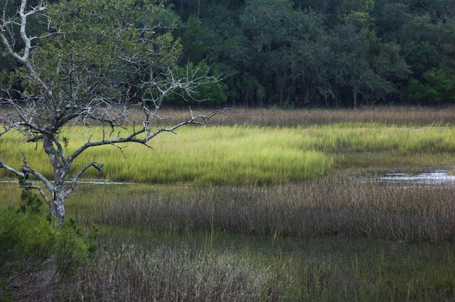 1206 Segar Street, Johns Island, SC 29455