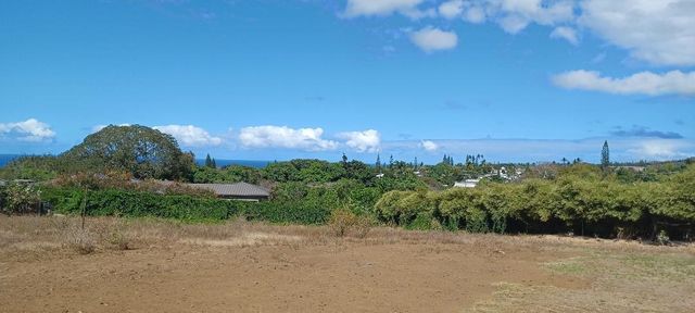 2676 Kalanikahua Rd, Haiku, HI 96708