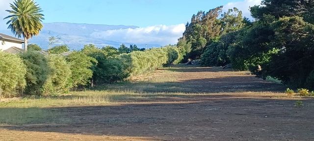 2676 Kalanikahua Rd, Haiku, HI 96708