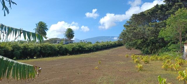 2676 Kalanikahua Rd, Haiku, HI 96708