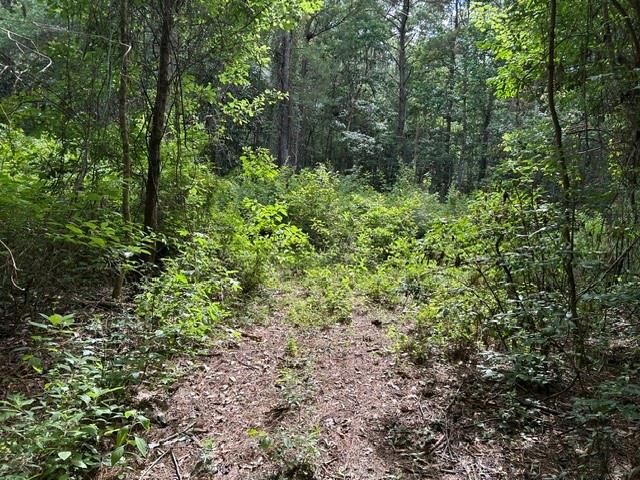 0 New Belle Fontaine Boulevard, Theodore, AL 36582