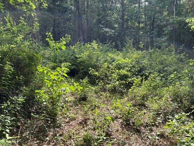 0 New Belle Fontaine Boulevard, Theodore, AL 36582