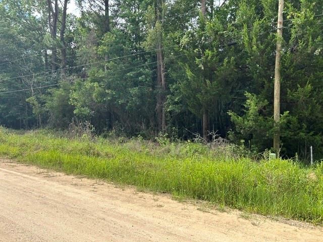 0 New Belle Fontaine Boulevard, Theodore, AL 36582