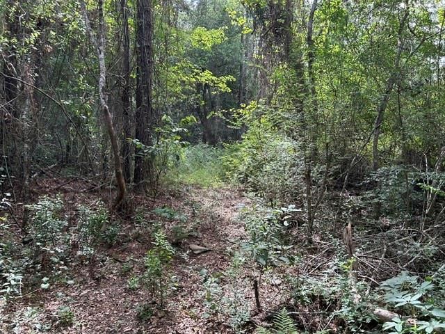 0 New Belle Fontaine Boulevard, Theodore, AL 36582