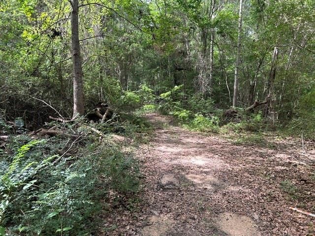 0 New Belle Fontaine Boulevard, Theodore, AL 36582