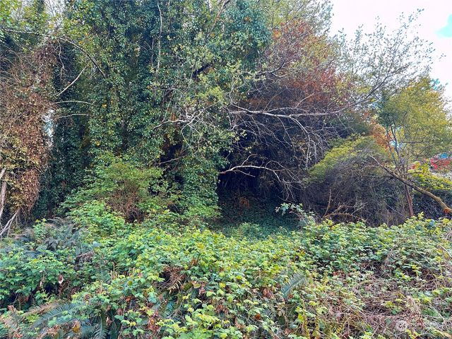 816 Terrace Avenue, Aberdeen, WA 98520