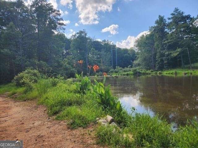 120 Bridgemill Drive, Hampton, GA 30228