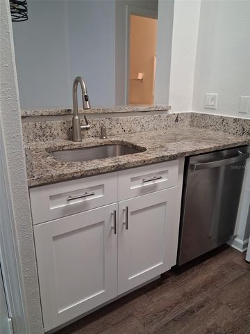 10405 VILLA VIEW CIRCLE 10405, Tampa, FL 33647
