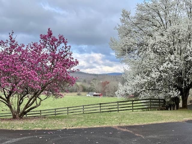 205 Oak Ridge Road, Morganton, GA 30560