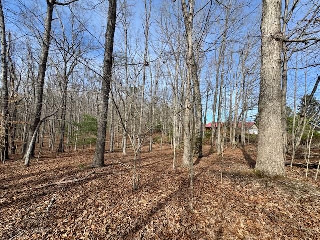 205 Oak Ridge Road, Morganton, GA 30560