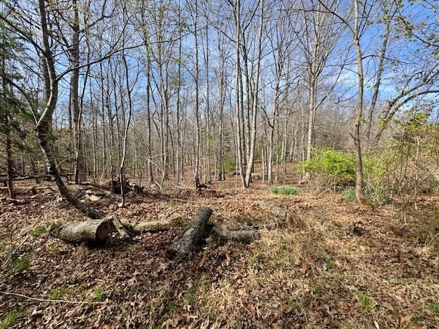 205 Oak Ridge Road, Morganton, GA 30560