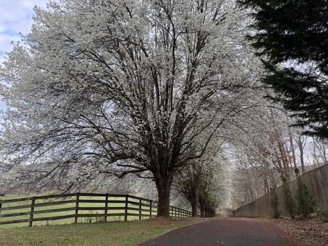 205 Oak Ridge Road, Morganton, GA 30560