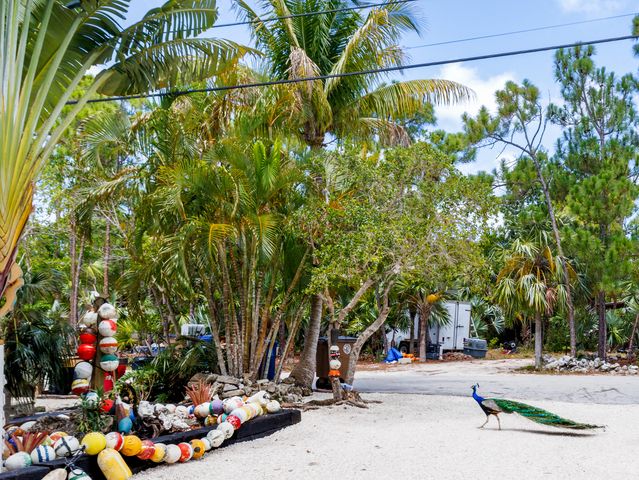 2421 Pensacola Road, Big Pine Key, FL 33043