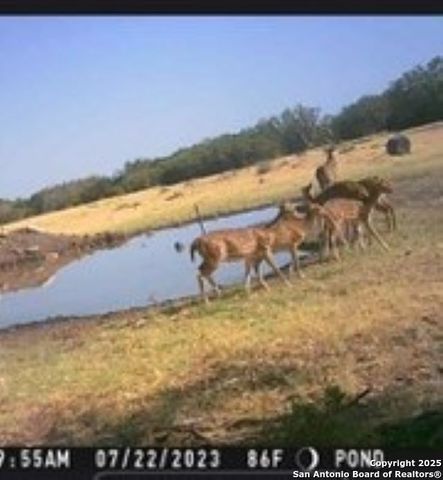 527 SD 74100, Rocksprings, TX 78880