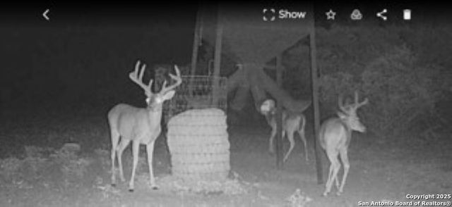 527 SD 74100, Rocksprings, TX 78880