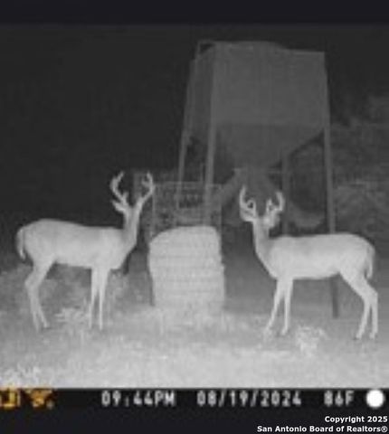 527 SD 74100, Rocksprings, TX 78880