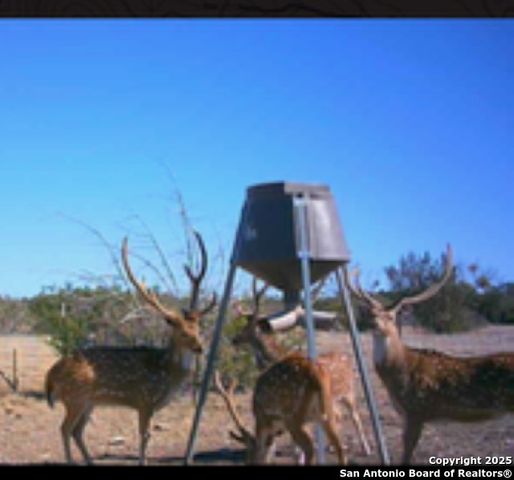 527 SD 74100, Rocksprings, TX 78880