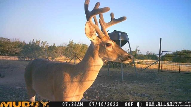 527 SD 74100, Rocksprings, TX 78880