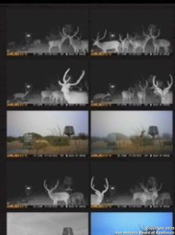 527 SD 74100, Rocksprings, TX 78880