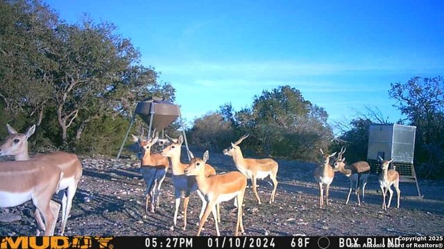 527 SD 74100, Rocksprings, TX 78880