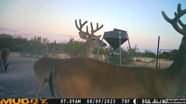 527 SD 74100, Rocksprings, TX 78880