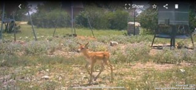 527 SD 74100, Rocksprings, TX 78880