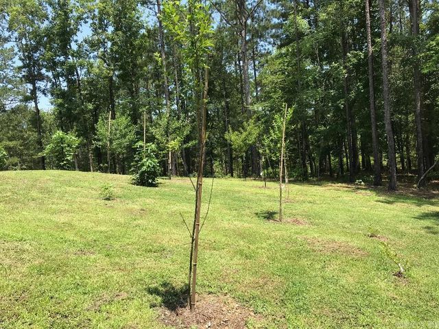 160 Slytown Road, Amity, AR 71921