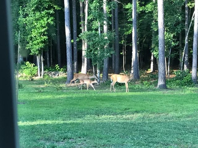 160 Slytown Road, Amity, AR 71921