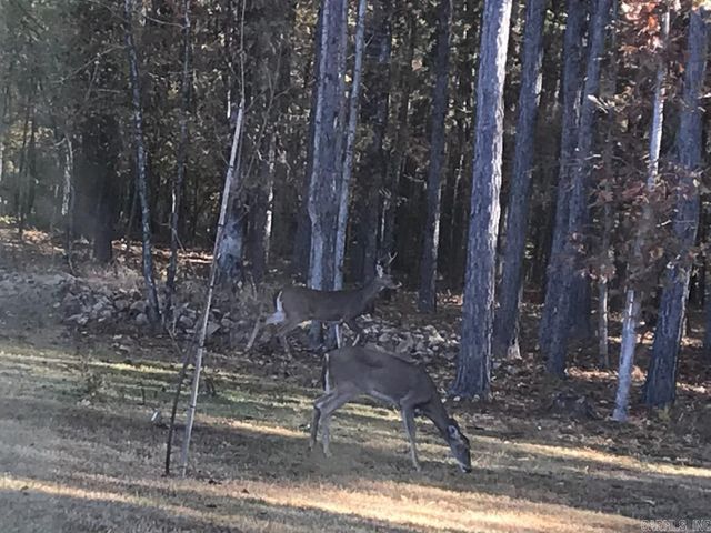 160 Slytown Road, Amity, AR 71921