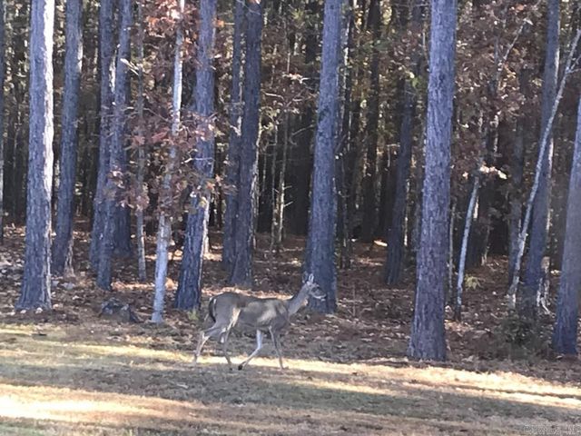 160 Slytown Road, Amity, AR 71921