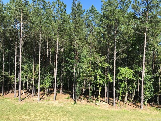 160 Slytown Road, Amity, AR 71921