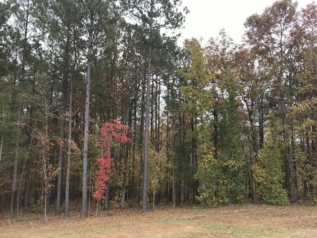 160 Slytown Road, Amity, AR 71921