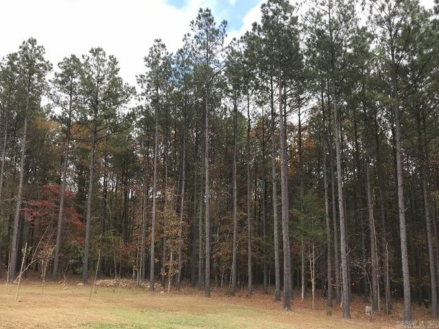 160 Slytown Road, Amity, AR 71921