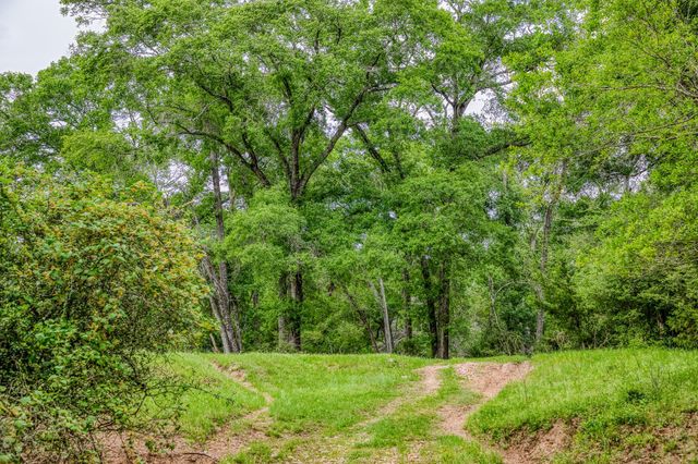 2958 Highway 36 N, Bellville, TX 77418