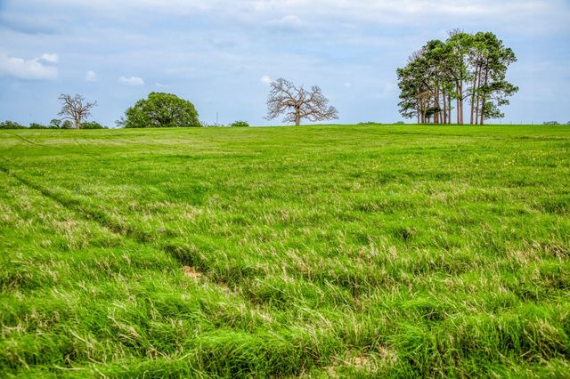 2958 Highway 36 N, Bellville, TX 77418