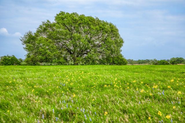 2958 Highway 36 N, Bellville, TX 77418