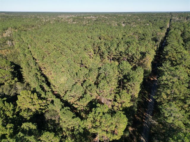 0 County Road 2125, Cleveland, TX 77327