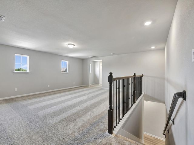 220 Raine Manor Court, Montgomery, TX 77316