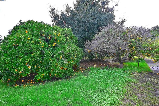 181 E Lewelling Blvd, San Lorenzo, CA 94580