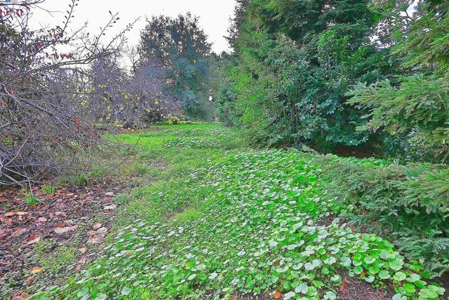 181 E Lewelling Blvd, San Lorenzo, CA 94580