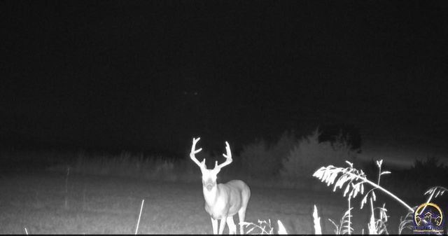 14351 S Road, Mayetta, KS 66509