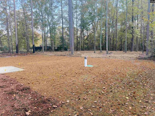 179 Gospel Hill Court, Orangeburg, SC 29115